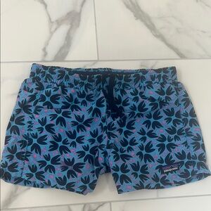 Patagonia Baggies Shorts